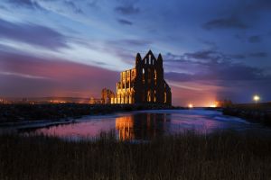 whitby abbey pond jan 2013 1 sm.jpg